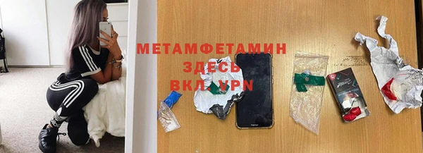 трава Аркадак