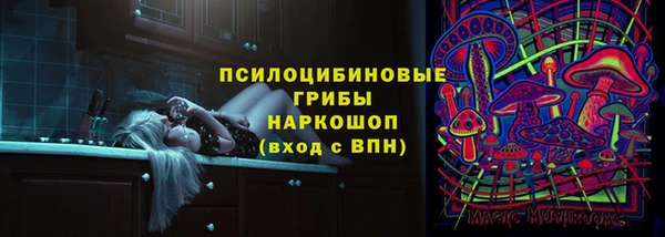 трава Аркадак