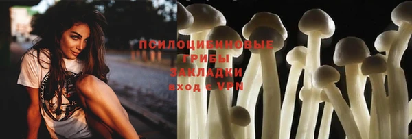прущий лед Армянск