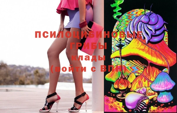 трава Аркадак