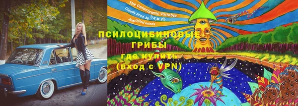винт Арсеньев