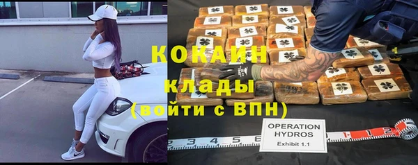трава Аркадак