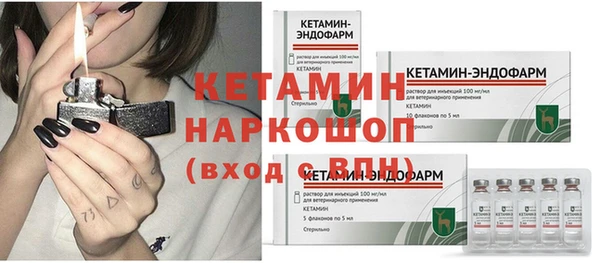 трава Аркадак