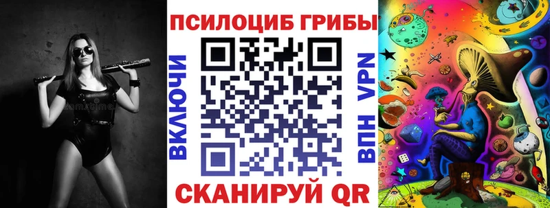 Галлюциногенные грибы Psilocybine cubensis  Омутнинск 